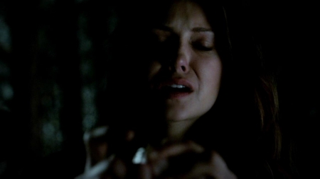 TVD_488.JPG