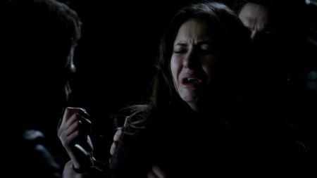 TVD_530.JPG