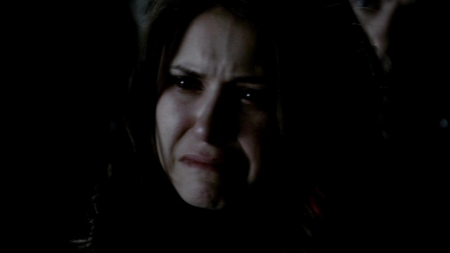 TVD_537.JPG