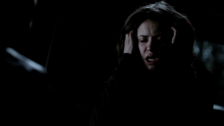 TVD_559.JPG