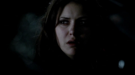 TVD_564.JPG
