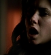 TVD_224.JPG