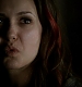TVD_240.JPG