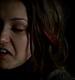 TVD_243.JPG