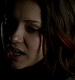 TVD_244.JPG