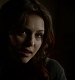TVD_245.JPG