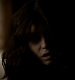 TVD_288.JPG