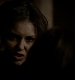 TVD_291.JPG