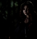 TVD_385.JPG