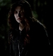 TVD_386.JPG