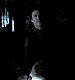 TVD_454.JPG