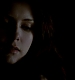 TVD_457.JPG
