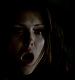 TVD_463.JPG