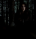 TVD_466.JPG