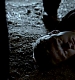 TVD_469.JPG