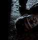 TVD_476.JPG