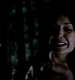 TVD_487.JPG