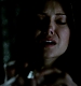 TVD_488.JPG