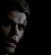 TVD_528.JPG