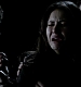 TVD_530.JPG