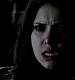 TVD_533.JPG