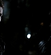 TVD_557.JPG