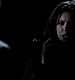 TVD_561.JPG