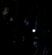TVD_572.JPG