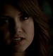 TVD_671.JPG