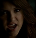TVD_673.JPG
