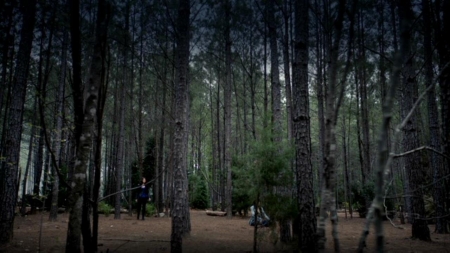 TVD_069.JPG