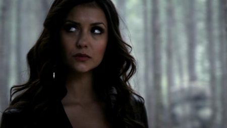 TVD_073.JPG