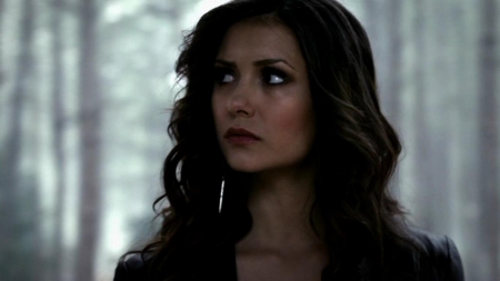 TVD_074.JPG