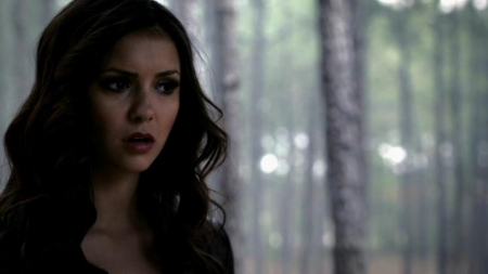 TVD_078.JPG