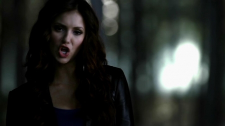 TVD_082.JPG
