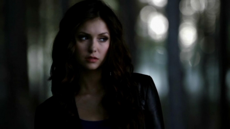 TVD_084.JPG