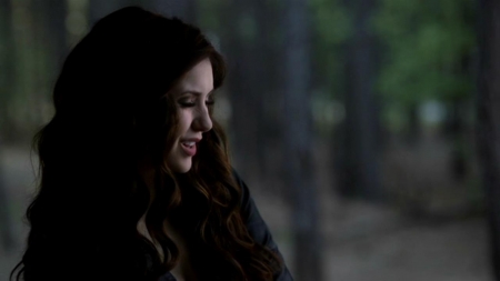 TVD_090.JPG