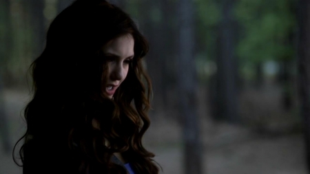 TVD_091.JPG