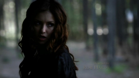 TVD_105.JPG