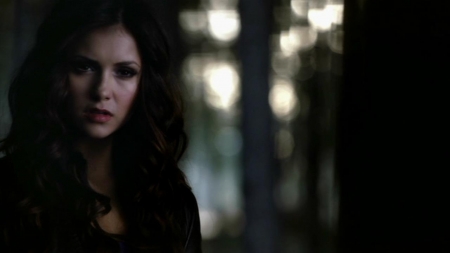 TVD_111.JPG