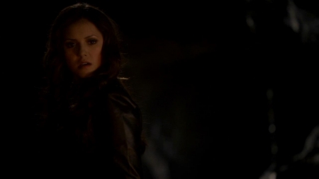 TVD_297.JPG