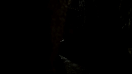 TVD_310.JPG