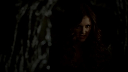 TVD_314.JPG