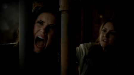 TVD_329.JPG