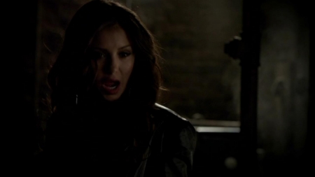 TVD_345.JPG