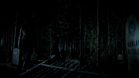 TVD_392.JPG