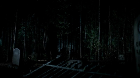TVD_393.JPG