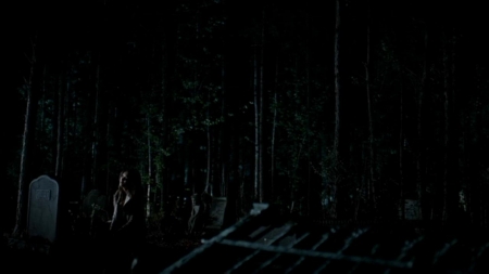 TVD_401.JPG