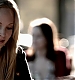 TVD_059.JPG