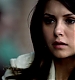 TVD_065.JPG